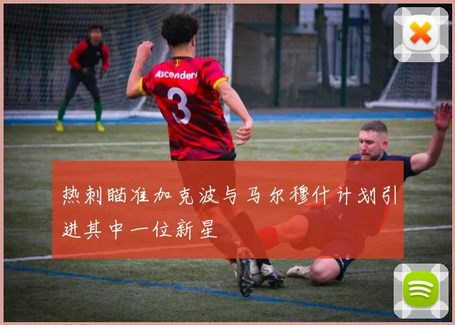 热刺瞄准加克波与马尔穆什计划引进其中一位新星